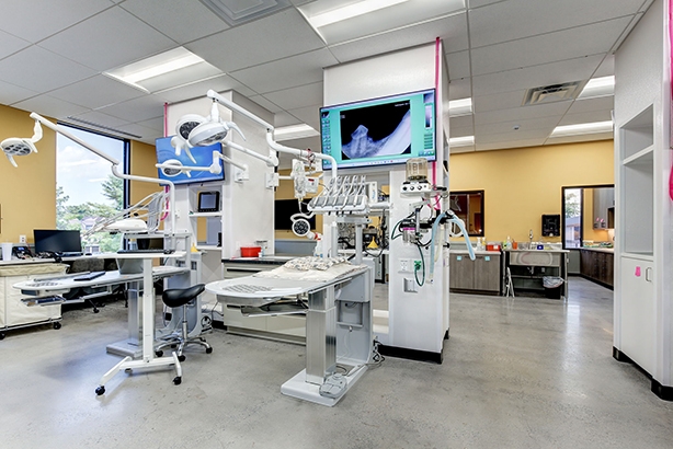 Center for Veterinary Dentistry and Oral Surgery