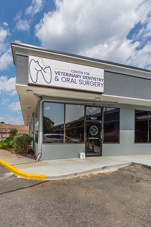 Center for Veterinary Dentistry and Oral Surgery